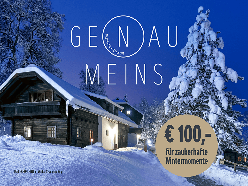 100 EUR Gutschein